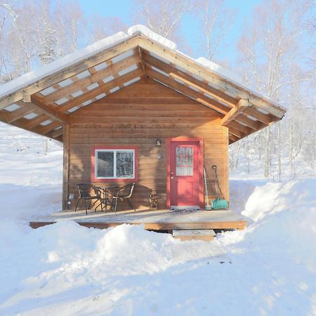 Spruce Cabin Talkeetna Exterior photo
