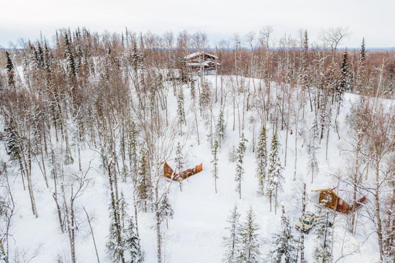 Spruce Cabin Talkeetna Exterior photo